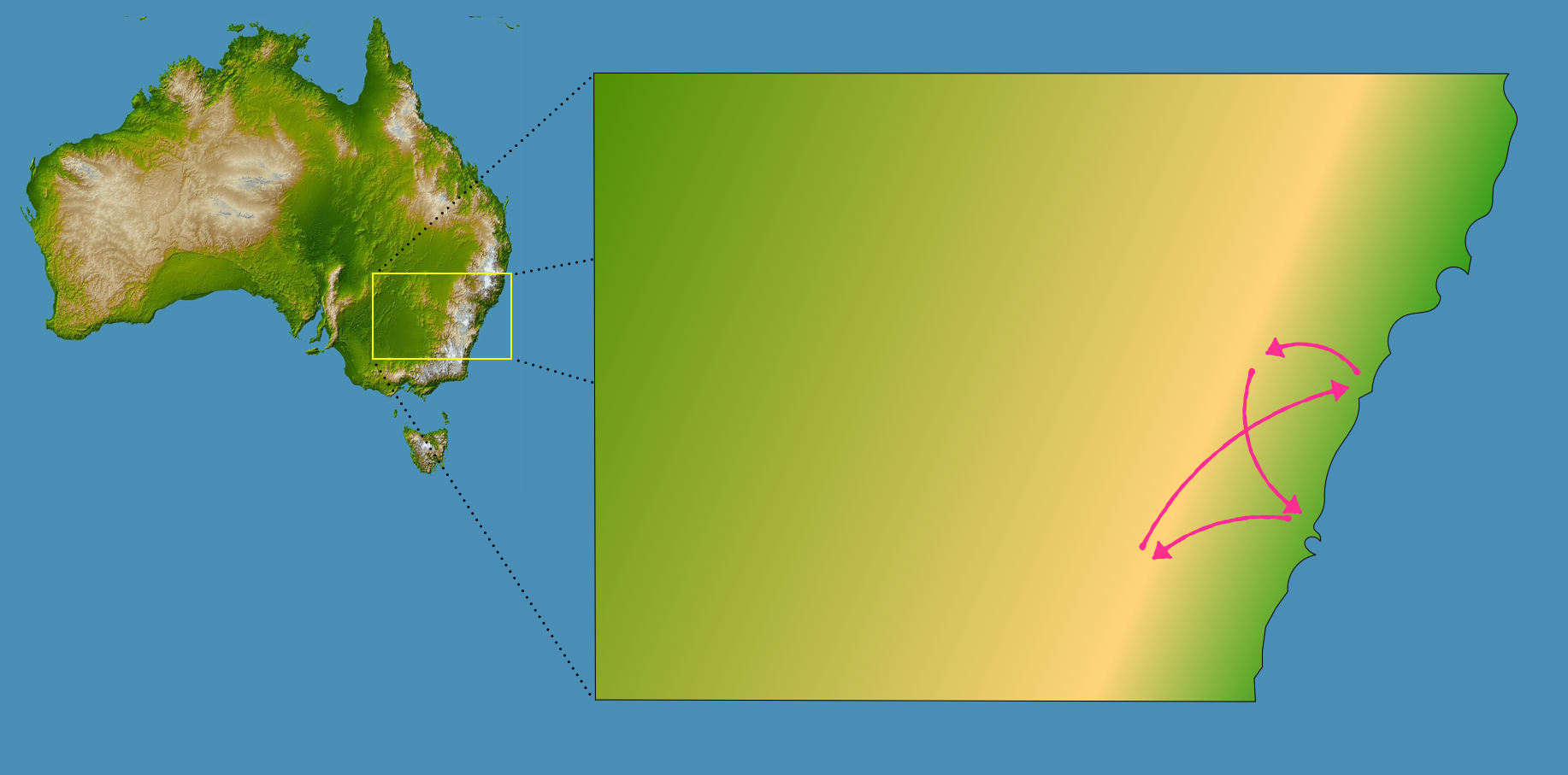 Points Image